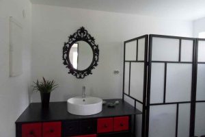 S29U_toa2